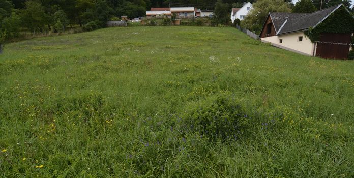 Baugrundstück in St. Martin an der Raab – ruhige Lage mit viel Potenzial