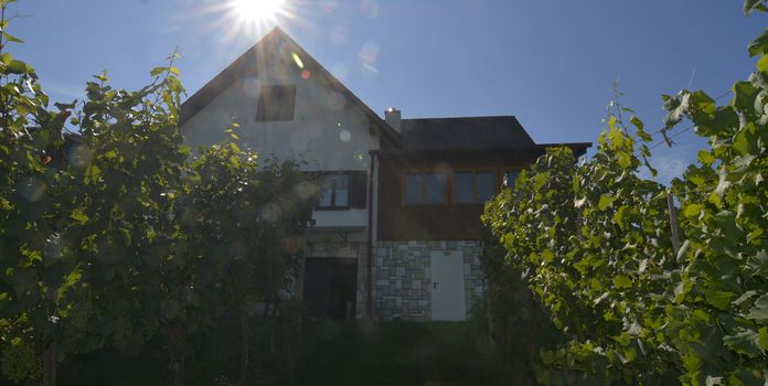 Buschenschank in Allein- Panoramalage mit 8.878 m² Grundstücksfläche!